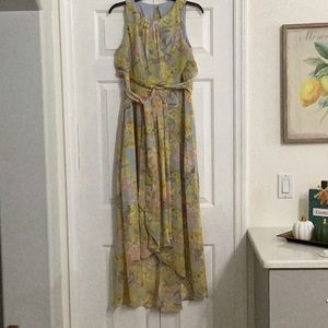 Shelby & Palmer dress